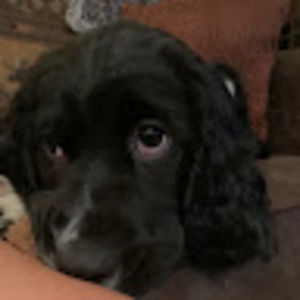 Meet your Posher, Marcy